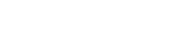 DMG OTOMOTİV LOGO